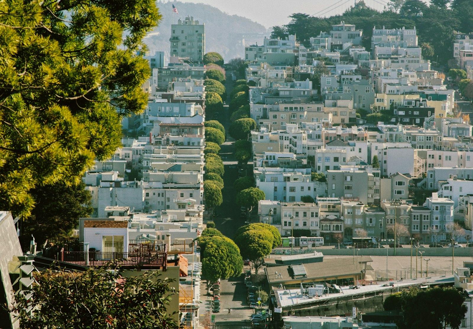 Haight-Ashbury's Real Story: Residents Keep San Francisco's Most Human Neighborhood Alive